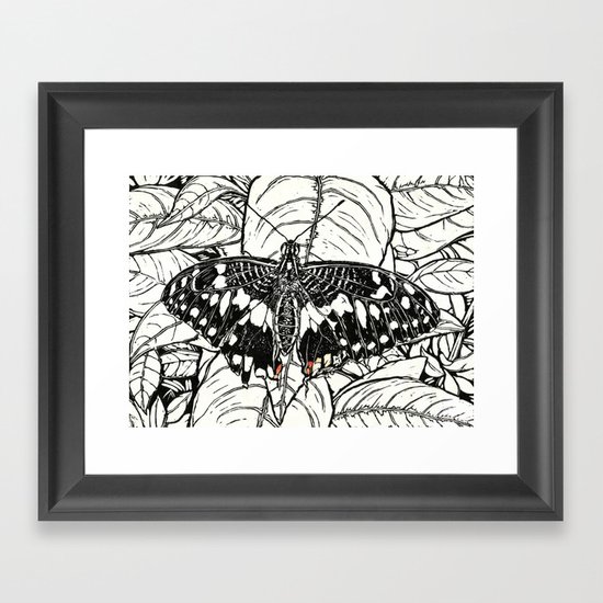 Chequered Swallowtail Framed Art Print