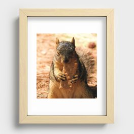 Contented Squirrel. © J. Montague. Recessed Framed Print