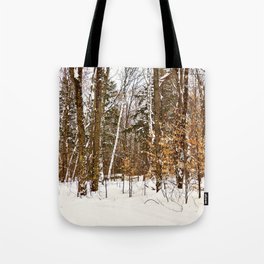 Maple Beech Forest in the Winter Tote Bag