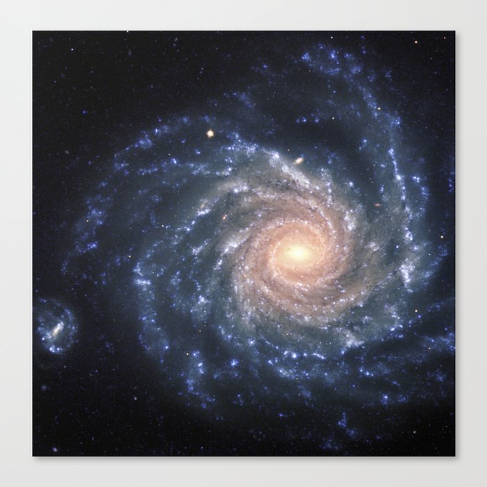 GALAXY NGC-1232 Canvas Print