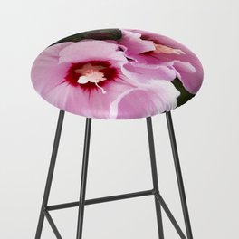 Tow purple Hibiscus flowers  in the garden Bar Stool