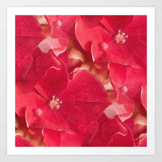 Red flower splendor - beautiful hydrangea blossoms Art Print