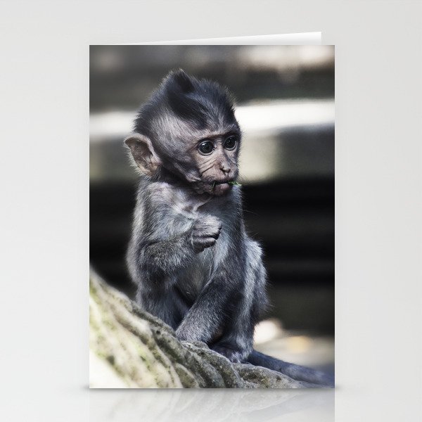 Baby Monkey Stationery Cards