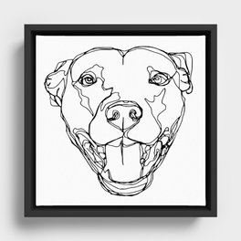 Staffy Head Framed Canvas