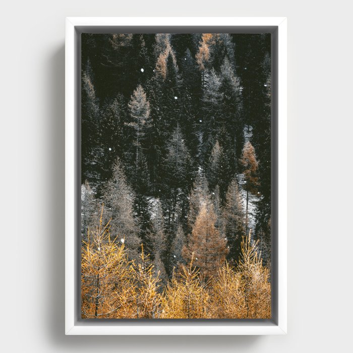 Winter Forest in the Mountains  Framed Canvas