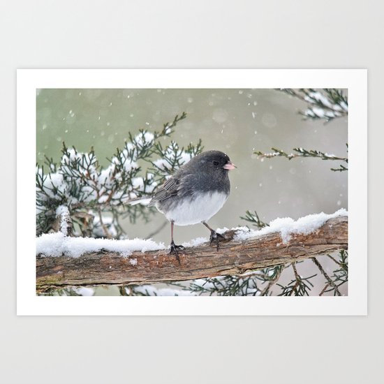 A Small Bird's Strength Art Print