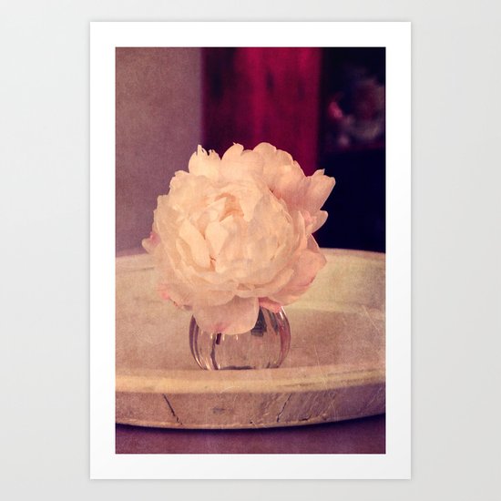 white peony II Art Print