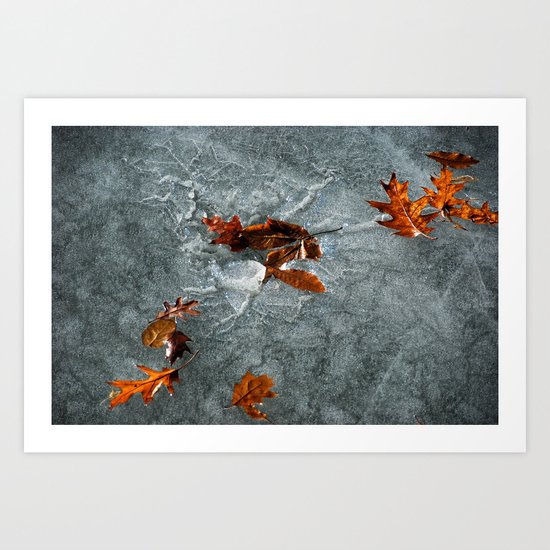 Autumn Leaves on Ice Art Print