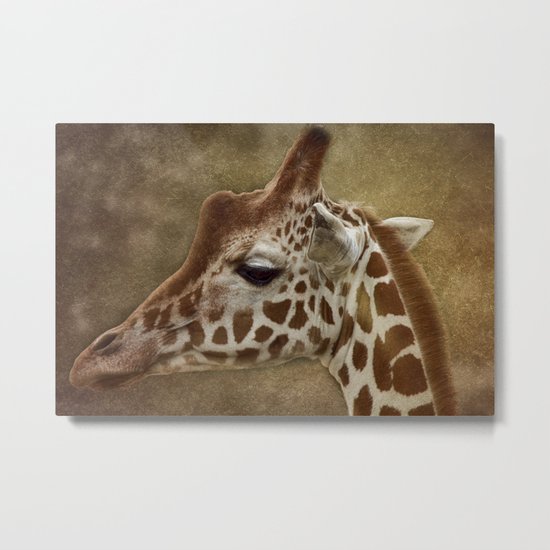 Its all in a Glance Metal Print