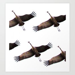 Cranes in flight #decor #society6 #buyart Art Print