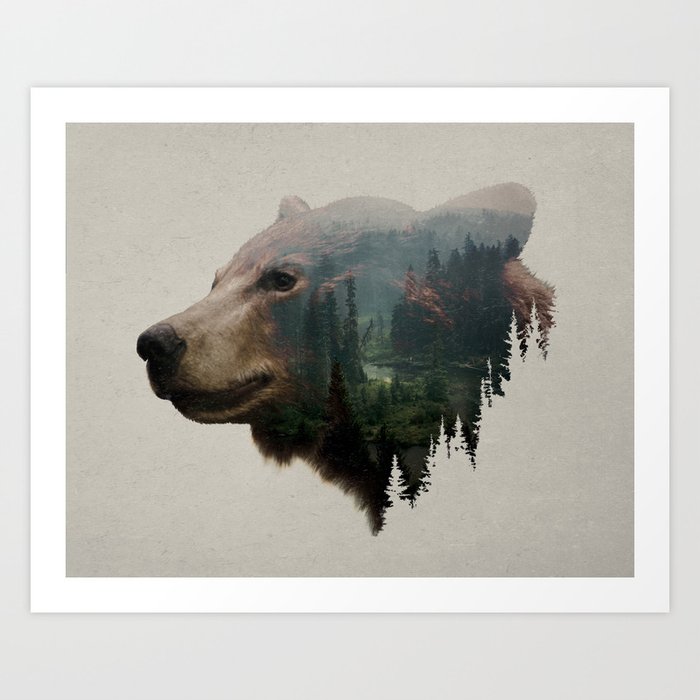The Pacific Northwest Black Bear Art Print