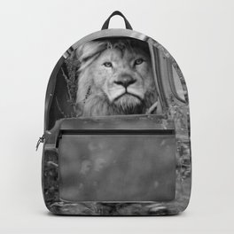 Baby, you can drive my car; lion out for a drive in a Cherokee funny black and white photograph - photography - photographs by Tambako the Jaguar Backpack