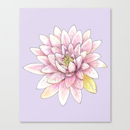 Pink Lotus Flower Canvas Print