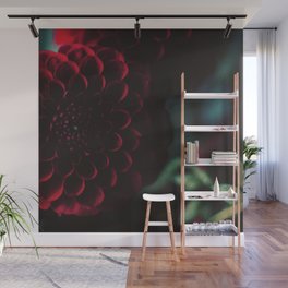 Red Dahlia flower photography Wall Mural