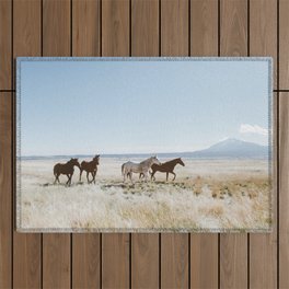 Colorado Wilds Outdoor Rug