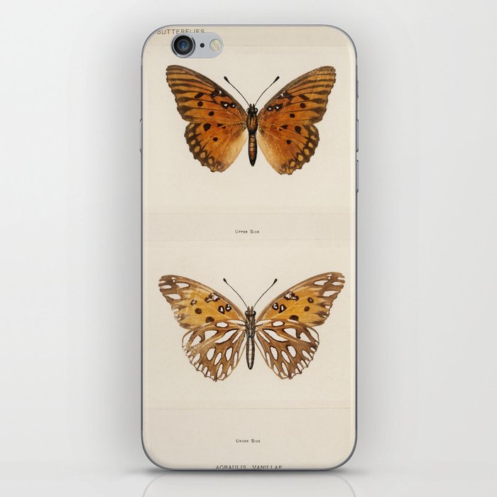 Moths and Butterflies by Denton iPhone Skin