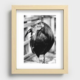 Rooster chicken portrait Recessed Framed Print