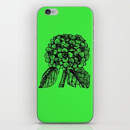 Green Hydrangea iPhone & iPod Skin
