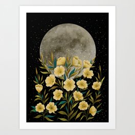 Moon Greeting- Yellow Evening Primrose Art Print