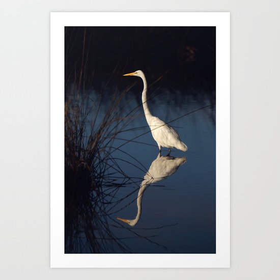 Morning Egret Reflection Art Print