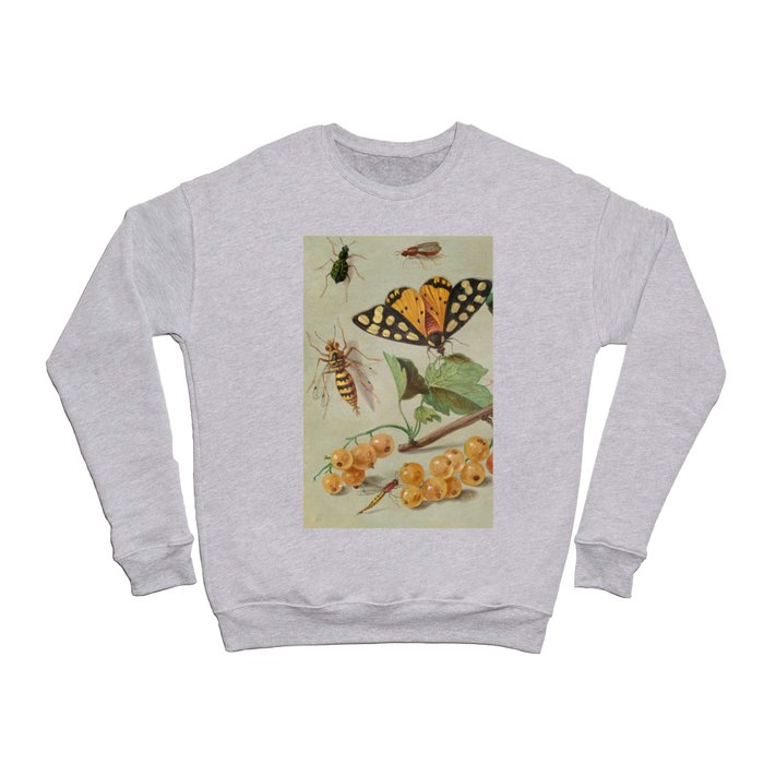 Study of Butterfly and Insects, 1655 by Jan van Kessel the Elder Crewneck Sweatshirt