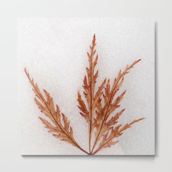 Iceolatia Metal Print