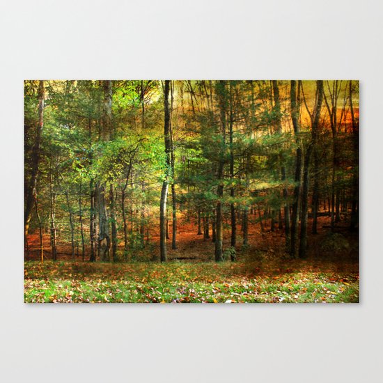 Autumn Sunset - In The Woods Canvas Print