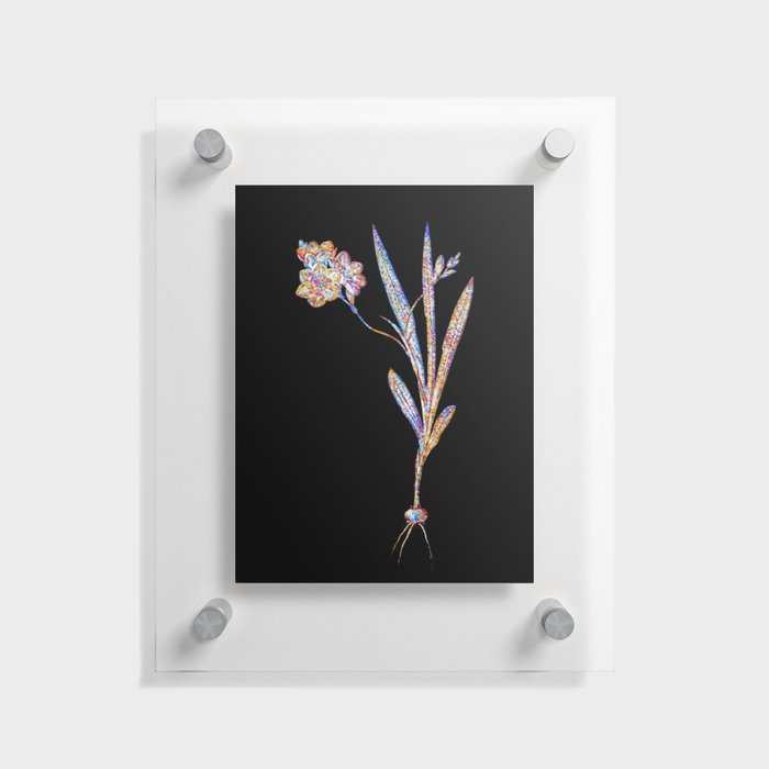 Floral Ixia Miniata Mosaic on Black Floating Acrylic Print