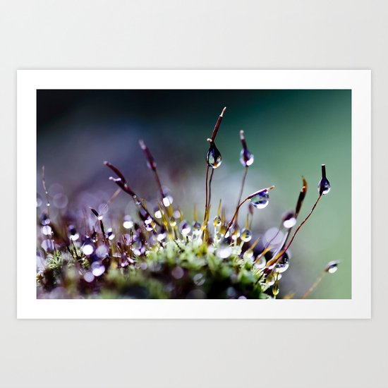 mossy things Art Print