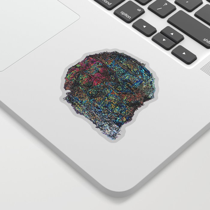 Psychedelic Skull Abstraction Sticker