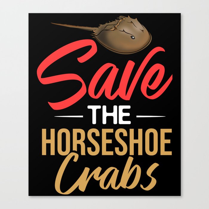 Horseshoe Crab Xiphosura Blood Eggs Fossil Canvas Print