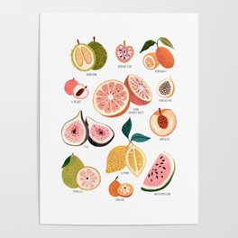 Summer Fruits Poster