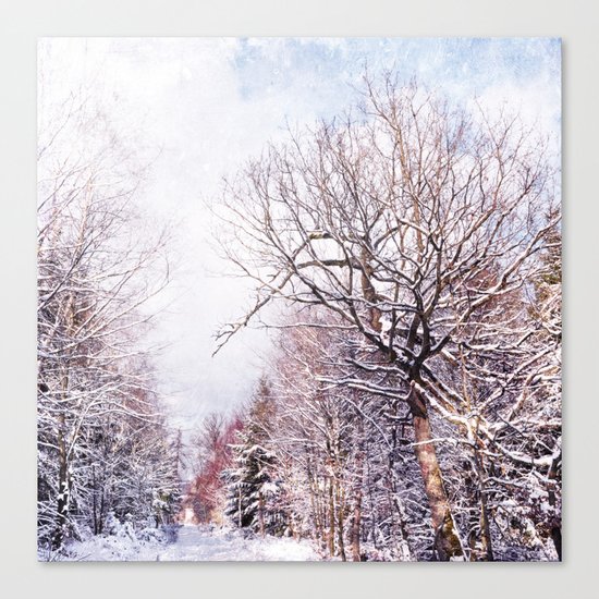winter trees in sunlight Canvas Print