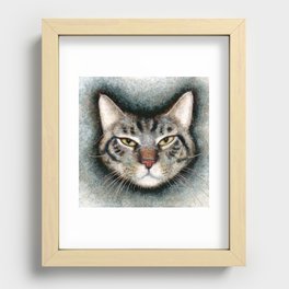 Cat #1 (Xavier) Recessed Framed Print