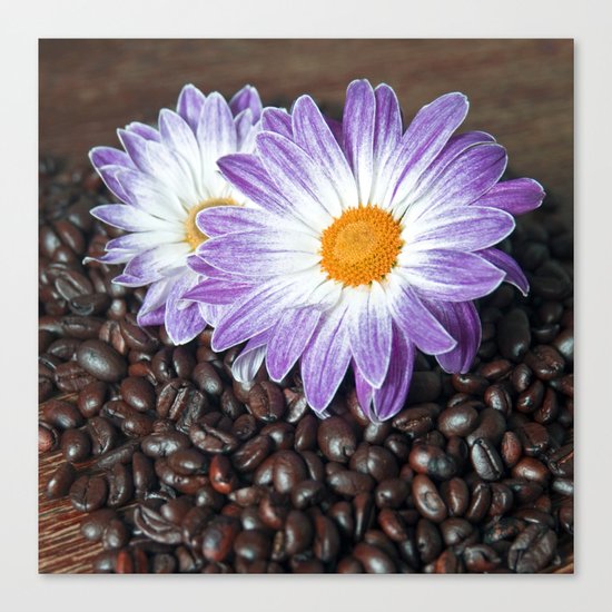 COFFEE & VIOLET DAISY Canvas Print