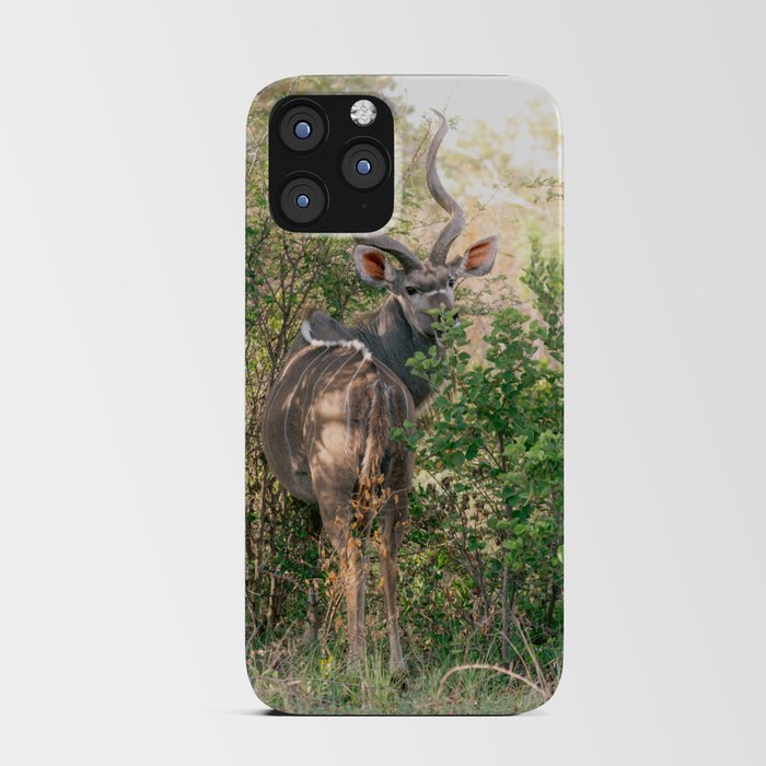 Landscape photo of kudu | Travel Photography | South Africa iPhone Card Case