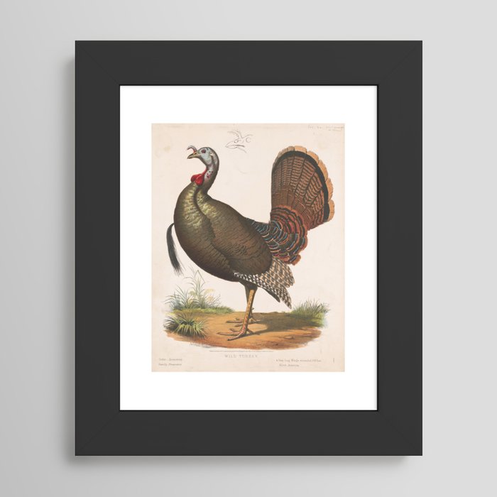 Framed Art Print
