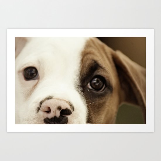 Boxer Nose Art Print