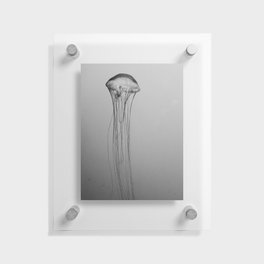 Black and White Jellyfish Art Photography, Drifting Through Time and Space Floating Acrylic Print
