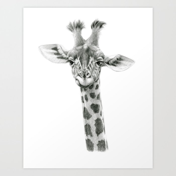 Young Giraffe  G2012-053 Art Print