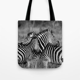 South Africa Photography - Two Zebras Hugging In Black And White Tote Bag