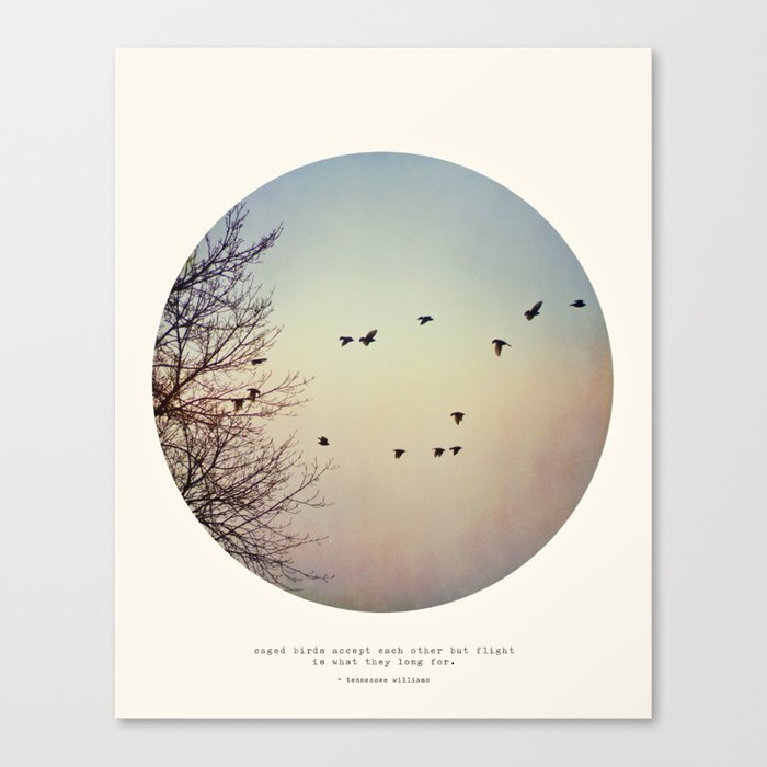 Circle Print Series - Caged Birds Canvas Print