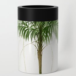 Vintage Botanical Print - Monostachia palm tree  Can Cooler
