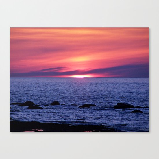 Painted By Nature Canvas Print