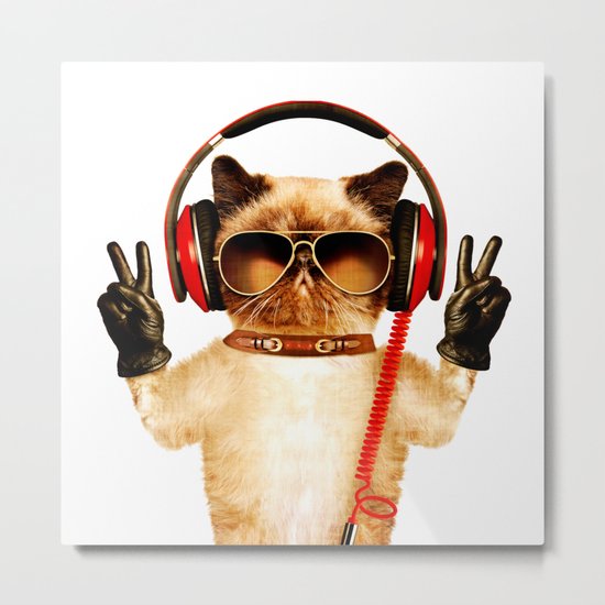 Chill Cat Metal Print