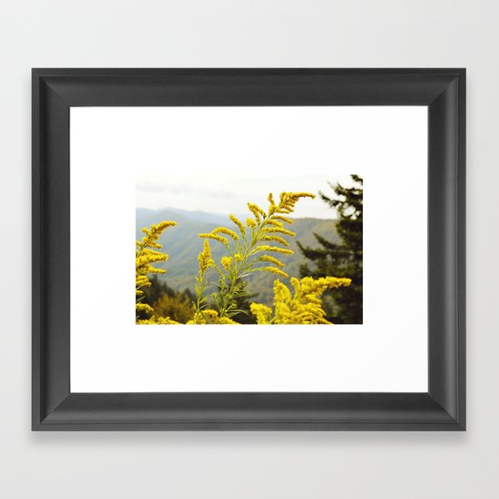 Mountain Gold Framed Art Print
