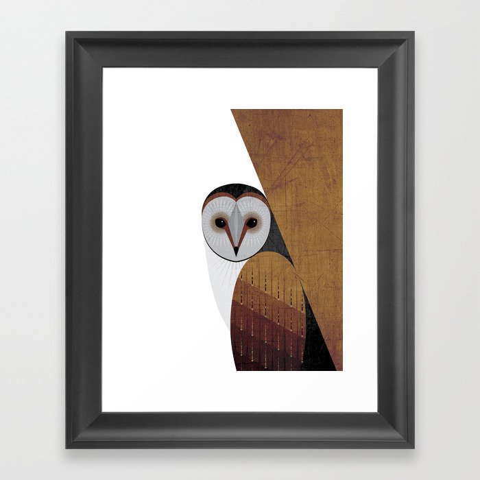 Barn Owl Framed Art Print