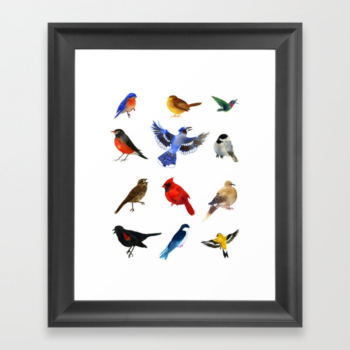 Birds Of Southwest Virginia Framed Art Print By