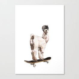 Skate Llama Canvas Print