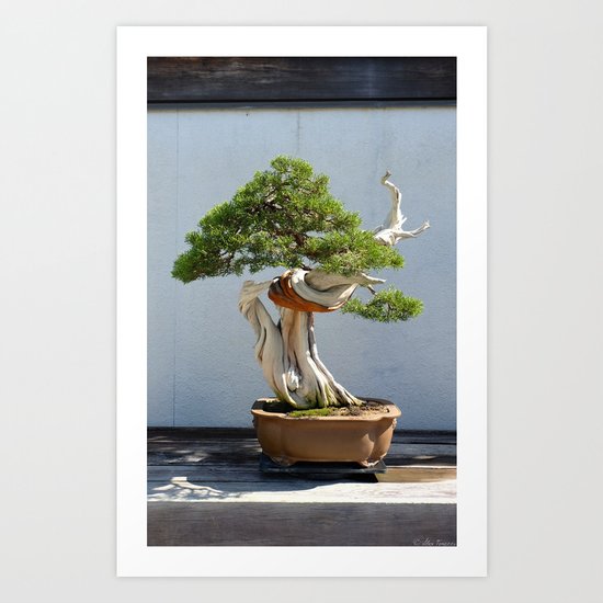 Natural Knot Art Print